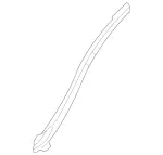 1706980498 - Covering and Lining: Seal for Mercedes-Benz: SLK230, SLK320 Image