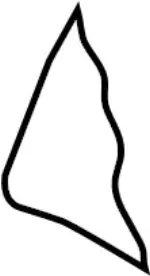 886054GA1A - Body: Seat Back Pad for INFINITI: Q50 Image