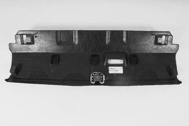 1LV22HL1AC - Body: Pkg Tray Trim for Chrysler: 300 Image