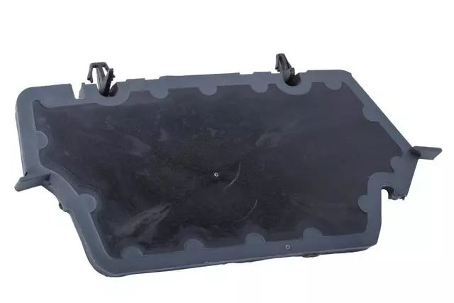 23126952 - Body: Inner Hinge Pillar Insulator for Chevrolet: Equinox | GMC: Terrain Image