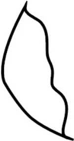 876114HB2A - Body: Seat Back Pad for Infiniti Image