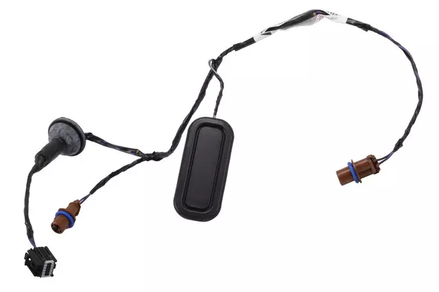 Rear License Plate Lamp Wiring Harness - GM (22894421)