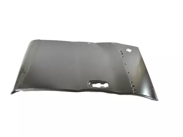 68461168AA - Doors, Door Mirrors and Related Parts: Rear Door Outer Repair Panel, Left for Ram: ProMaster City Image