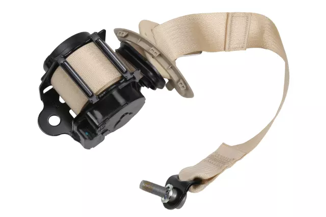 19333442 - Electrical: Outer Belt Assembly for GM Image