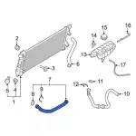 ML3Z8286H - Cooling System: Lower Hose for Ford: F-150 Image