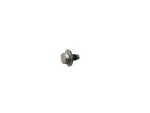 68318660AA - Doors, Door Mirrors and Related Parts: Hex Head Screw for Dodge: Hornet | Jeep: Cherokee, Compass, Wagoneer S Image