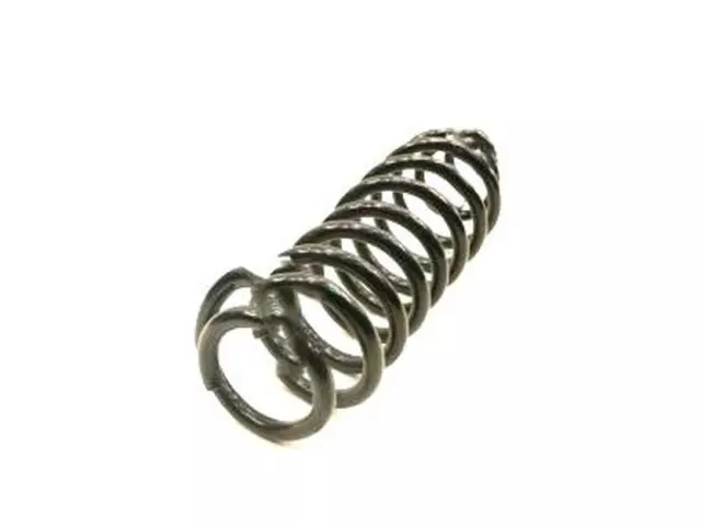 Coil Spring - Ford (BR3Z-5560-C)