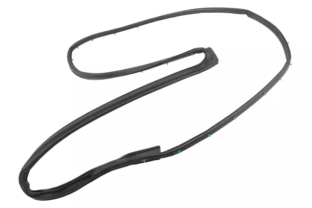 42621016 - : Front Passenger Side Door Weatherstrip for Chevrolet: Sonic Image