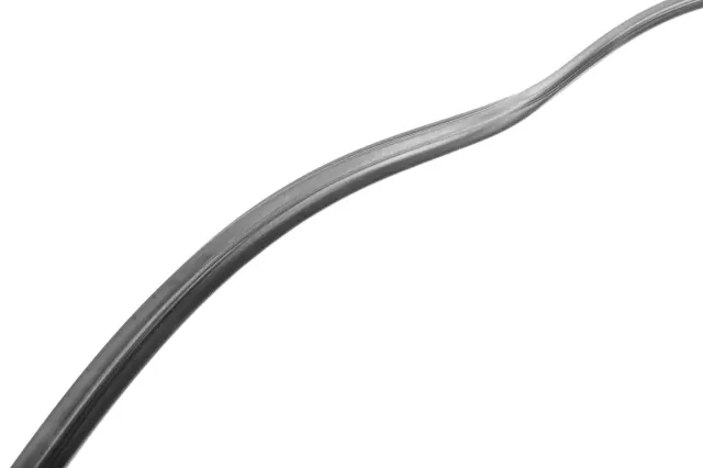 84099720 - : Sunroof Window Seal for Buick: Envision Image