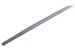 95421590 - : Body Side Molding for GM Image