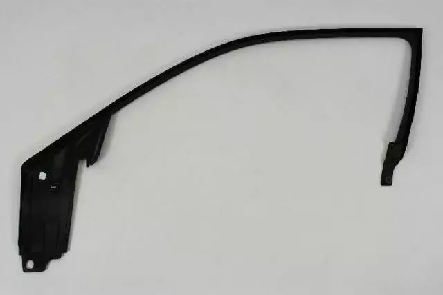 Door Window Opening Molding, Left - Mopar (1TT97DX9AB)