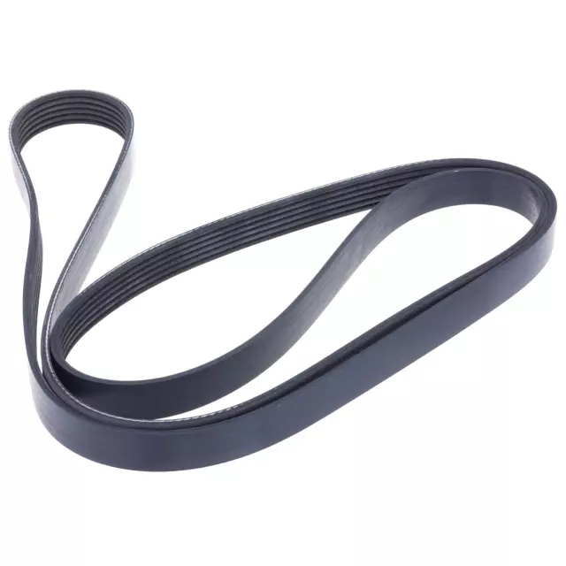 FB6K783 - Engines &amp; Components: INA US Serpentine Belt for INA US Image