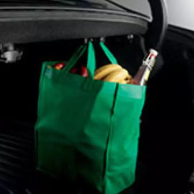 Cargo Hook - Acura (08L96-TA0-101A)