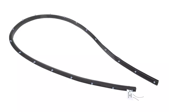 Passenger Side Door Window Belt Weatherstrip - GM (42440816)