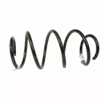 FR3Z5310N - Suspension: Coil Spring for Ford: Mustang Image