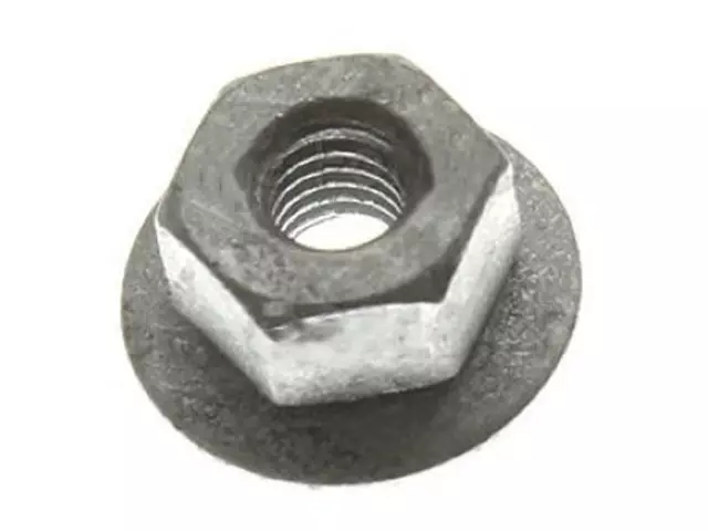 Roof Lamp Assembly Nut - Ford (N621903-S441)