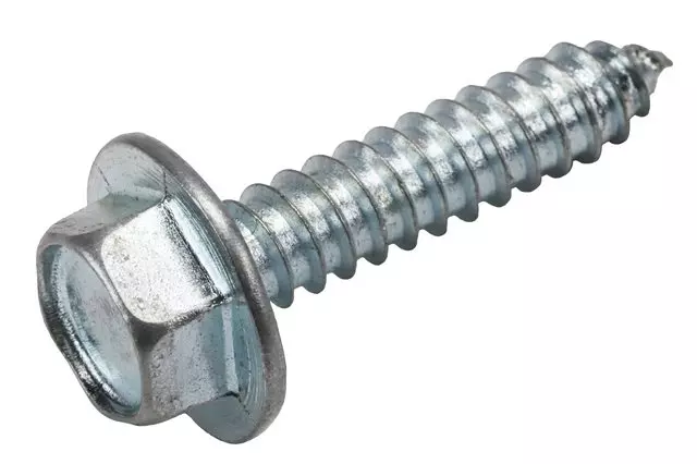 Rear Seat Back Hinge Bolt - GM (92194898)