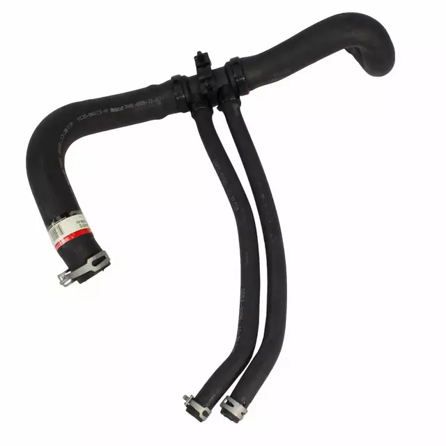 F81Z8286AD - Cooling System: Lower Hose for Ford: Excursion, F-250, F-250 Super Duty, F-350 Super Duty Image