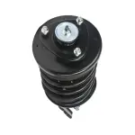 818305 - : PRT 818305 Suspension Strut and Coil Spring Assembly for PRT PERFORMANCE RIDE Image