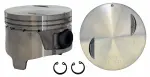 P4603650 - : Engine Piston Set for Enginetech Image