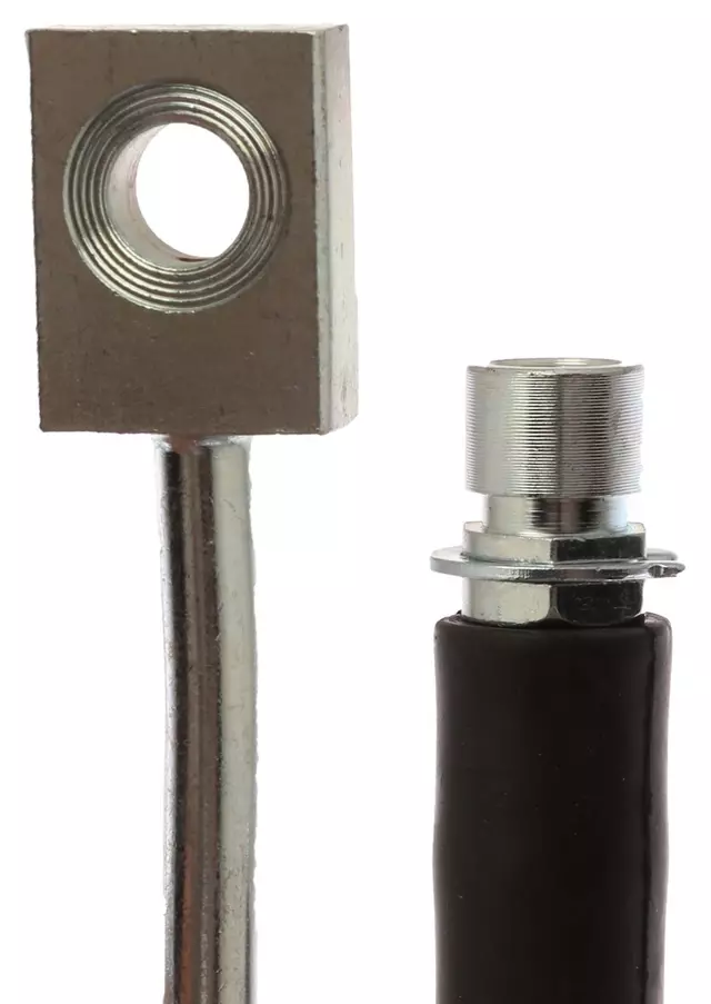Hose - GM (19425527)