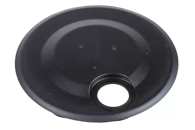 96417288 - Body: Access Cover for Chevrolet: Aveo, Aveo5 | Pontiac: G3 Image