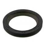 711024 - : National 711024 Engine Crankshaft Seal for National Bearings Image