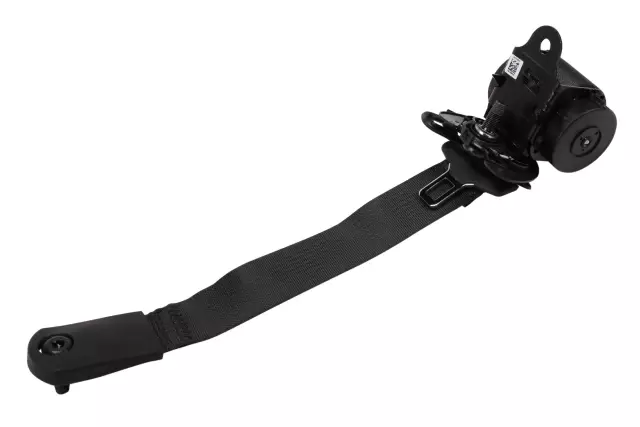 84815183 - Electrical: Outer Belt Assembly for Cadillac: CT5 Image