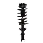 818992 - : PRT 818992 Suspension Strut and Coil Spring Assembly for PRT PERFORMANCE RIDE Image