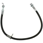 19261669 - : Hose for GM Image