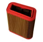 22017117 - : Air Filter for OmniParts Image