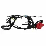 WC96498 - : Motorcraft™ Battery Cable Harness for Ford: Police Interceptor Sedan Image