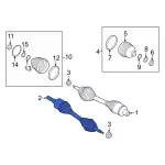 NL1Z3A427B - Front Drive Axle: Axle Assembly for Ford Image