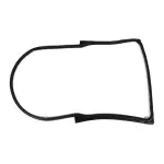 55395718AO - Doors, Door Mirrors and Related Parts: Door To Body Weatherseal, Right for Jeep: Wrangler, Wrangler JK Image