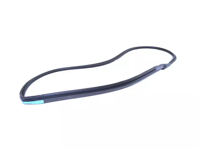 4763879AE - Doors and Related Parts: Door Glass Weatherstrip, Left for Dodge: Viper Image