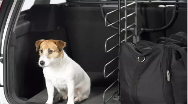 31339868 - : 2015-2018 Volvo V60 - Steel Trunk Divider - Longitudinal for Volvo: V60 Image