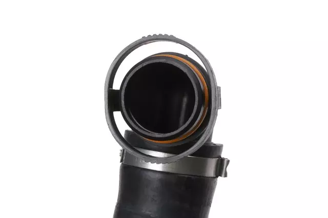 Secondary Air Injection Pump Inlet Hose - GM (23123381)