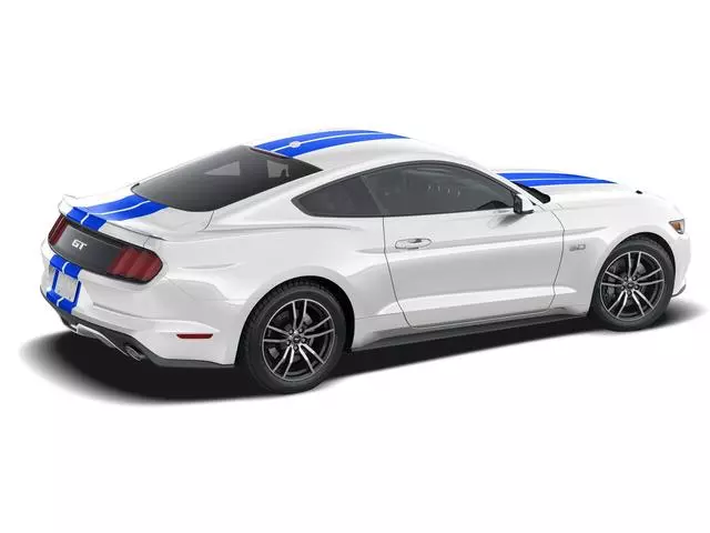 Kit Decal - Ford (VGR3Z-6320000-EC)