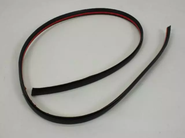 WU04RXFAF - Body: Roof Molding for Dodge: Magnum Image