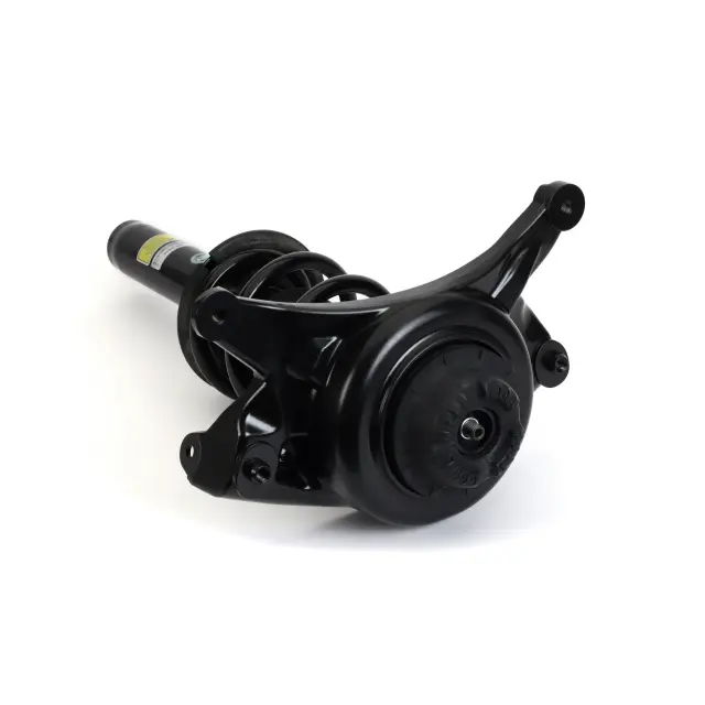 SK3842 - Suspension &amp; Steering: Arnott Suspension Strut and Coil Spring Assembly for Arnott Image