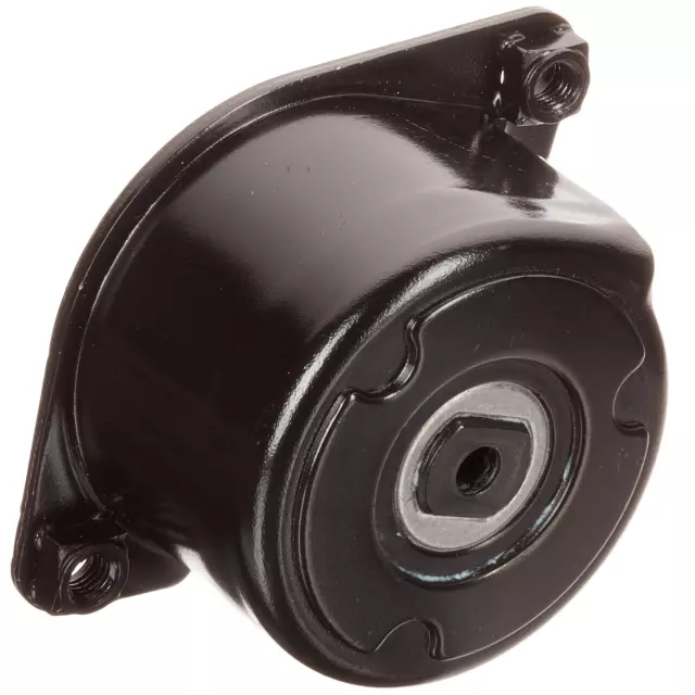 FT40170 - Engines &amp; Components: Accessory Drive Belt Tensioner for INA US Image