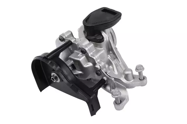 55509127 - : Oil and Power Brake Booster Pump for GM Image