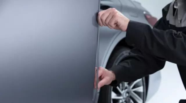 Door Edge Guards - Sunlight Green - Lexus (PT936-33190-06)