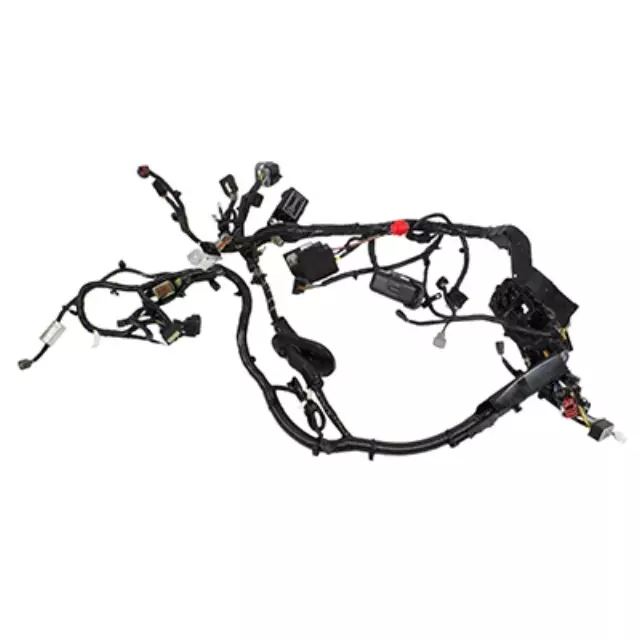 Wire Harness - Ford (EG9Z-14290-KA)