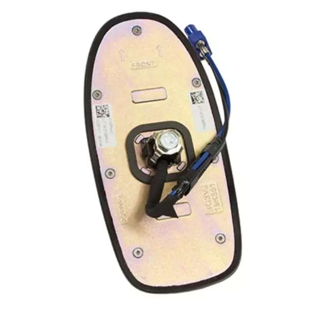Radio Antenna Assembly - Ford (JL1Z-19A390-BCPTM)