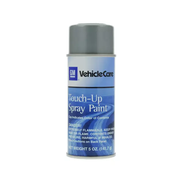 19256934 - : Misty Lake Metallic (WA683R) Touch-Up Paint - 5 oz Spray for GM Image