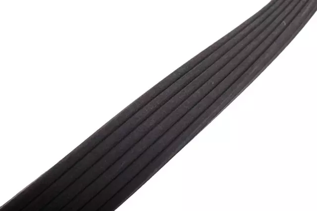 12688041 - : Accessory Drive Primary Belt for GM Image