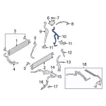 P1MZ8B081B - Cooling System: Engine Coolant Overflow Hose for Ford: Explorer, Police Interceptor Utility Image
