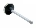 V2633 - : Engine Exhaust Valve for Enginetech Image