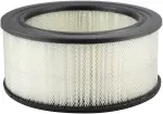 PA612 - : Air Element for Baldwin Image